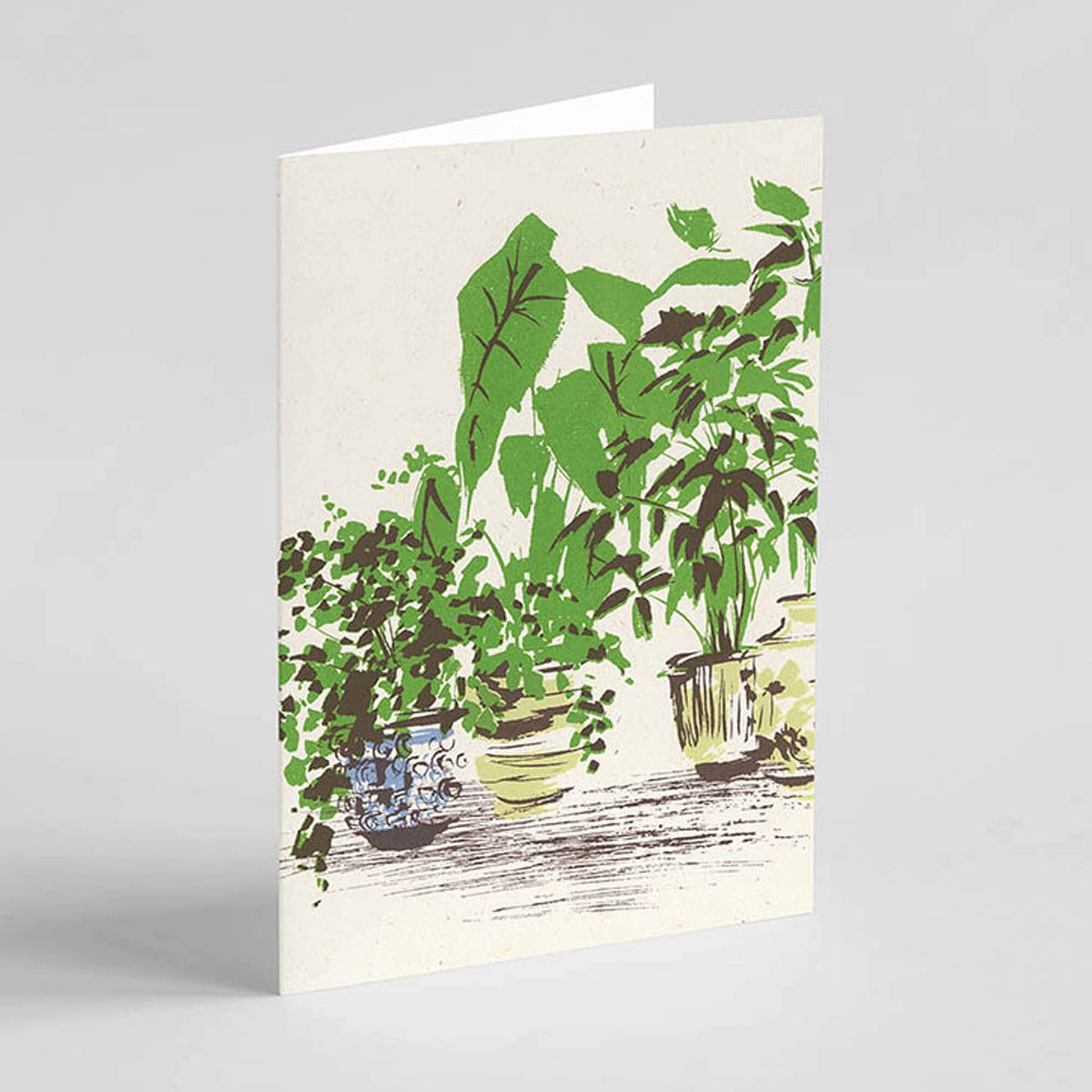 Greetings Card Pots and Plants - Greetings Card homeware shops bristol gift shops bristol Ben Rogers Prints