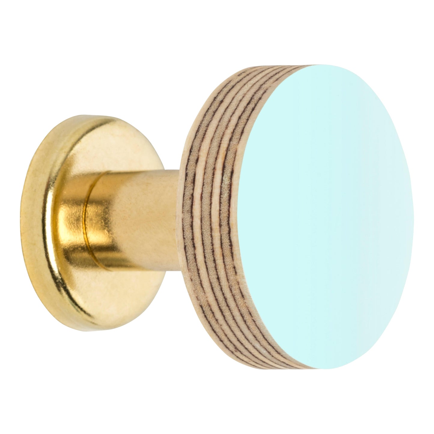 Cabinet Knob Birch & Brass Knob in Aqua Blue homeware shops bristol gift shops bristol Priormade