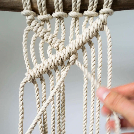 knots and shots