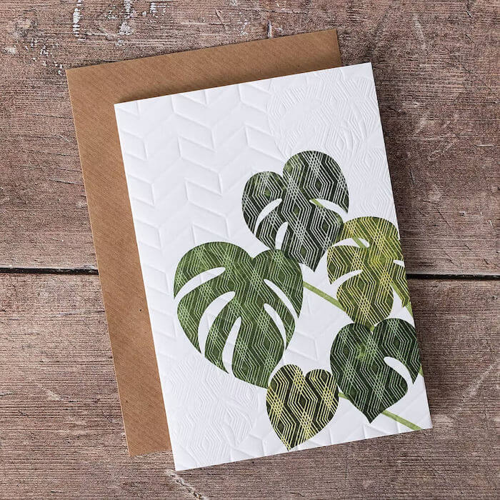Plant Greeting Card Cheese Plant Plant (Embossed) Greetings Cards (Various Designs) homeware shops bristol gift shops bristol Ash Leaf Printmaking