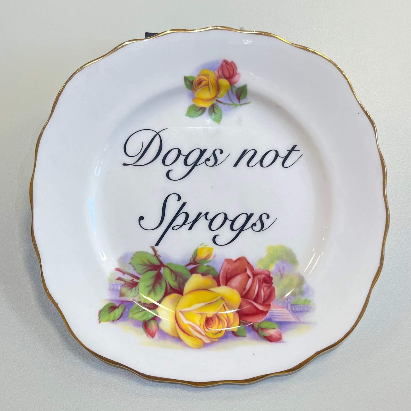 Ceramics C Decorative Wall Plate - Dogs Not Sprogs (various styles) homeware shops bristol gift shops bristol Beau & Badger