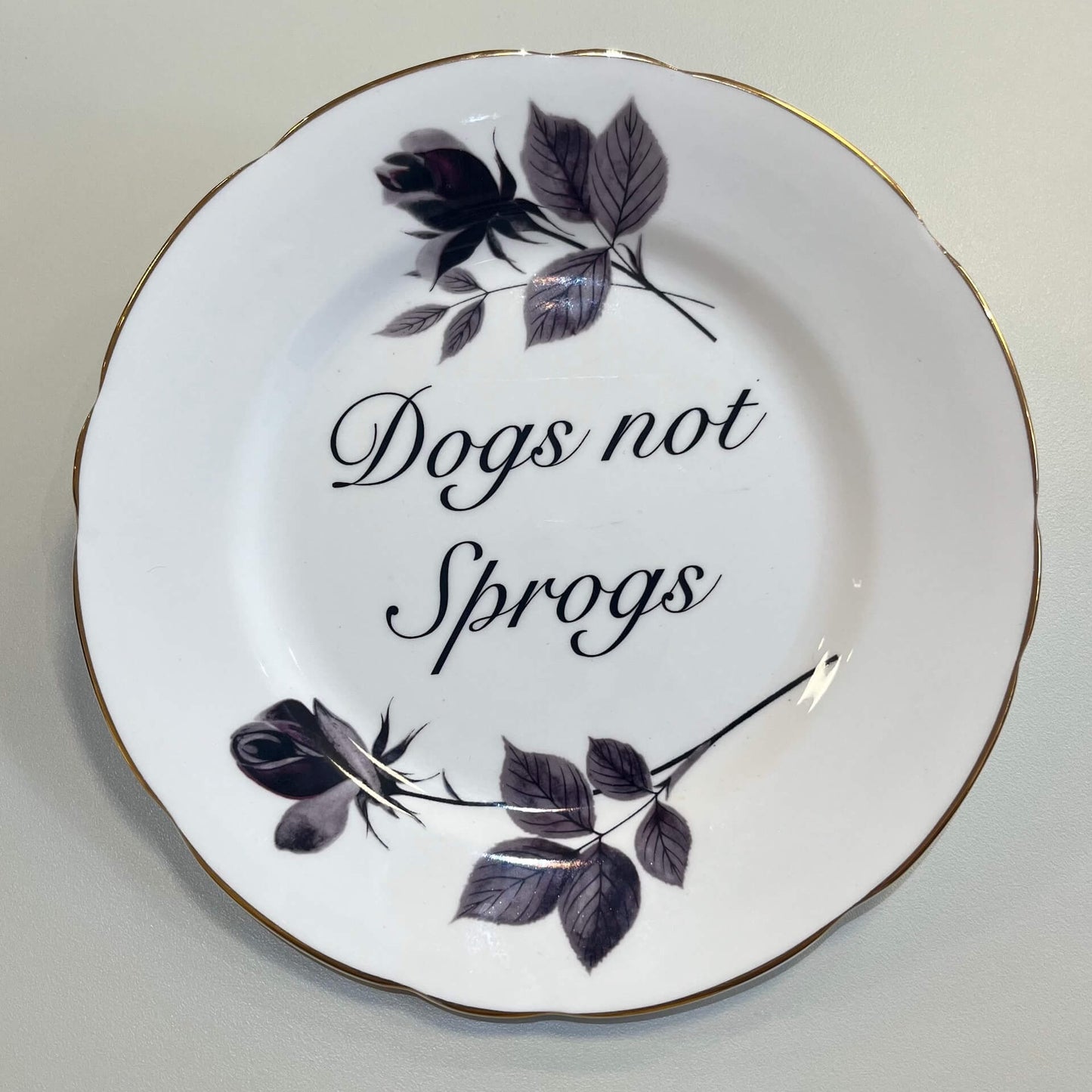 Ceramics F Decorative Wall Plate - Dogs Not Sprogs (various styles) homeware shops bristol gift shops bristol Beau & Badger