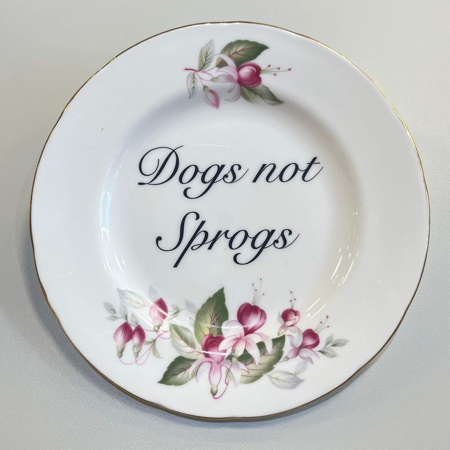 Ceramics G Decorative Wall Plate - Dogs Not Sprogs (various styles) homeware shops bristol gift shops bristol Beau & Badger