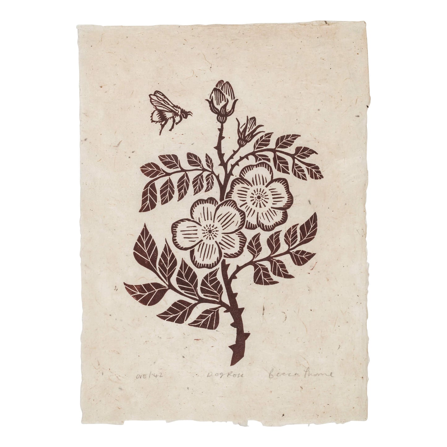 Hedgerow 'Dog Rose' Original Lino Print (in multiple colours) homeware shops bristol gift shops bristol Becca Thorne Illustration