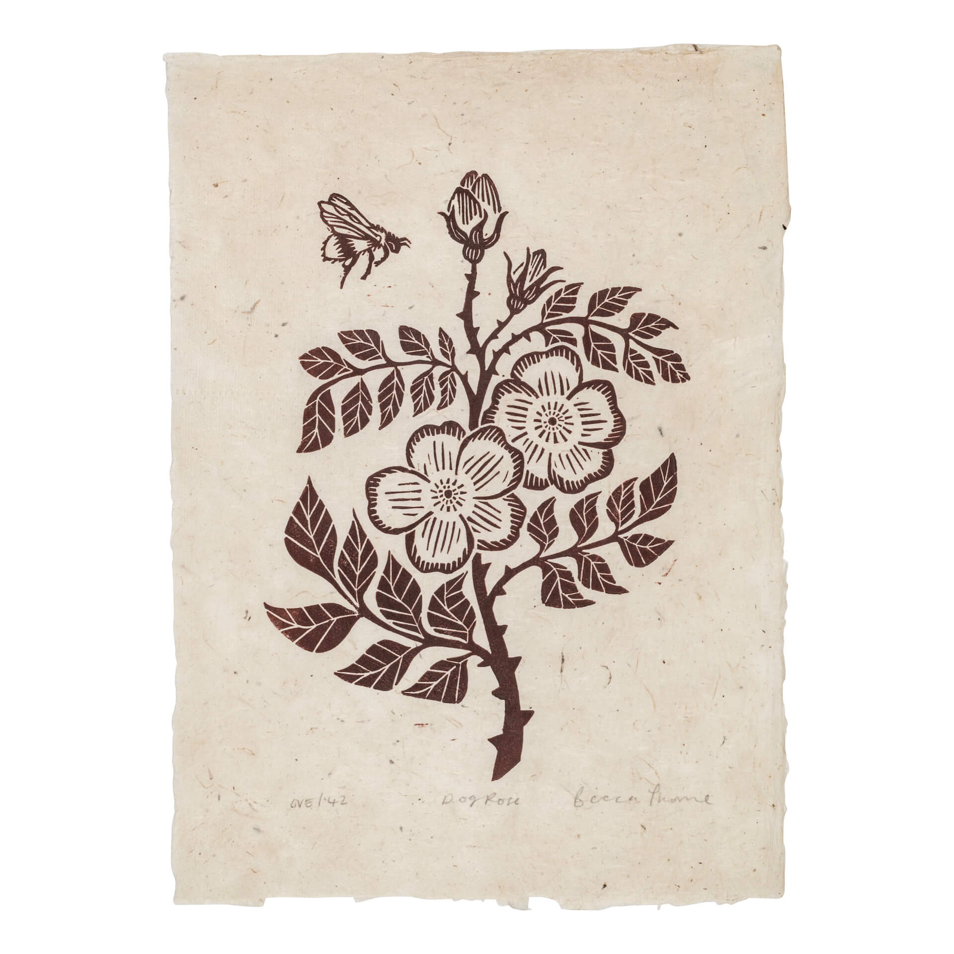 Hedgerow 'Dog Rose' Original Lino Print (in multiple colours) homeware shops bristol gift shops bristol Becca Thorne Illustration
