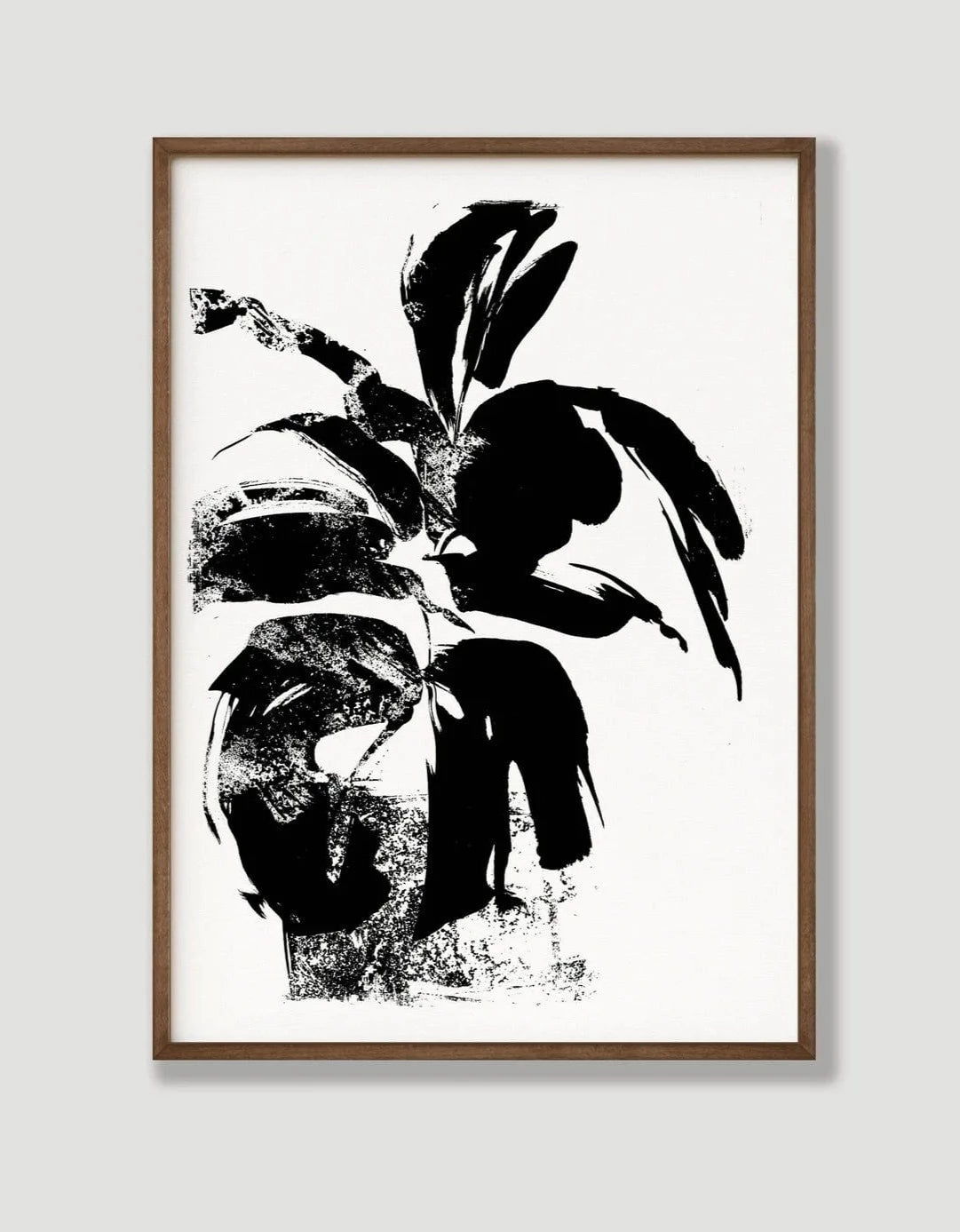 Greetings Card Fiddle Fig in Sunlight - Botanical A3 Screen Print homeware shops bristol gift shops bristol Ben Rogers Prints