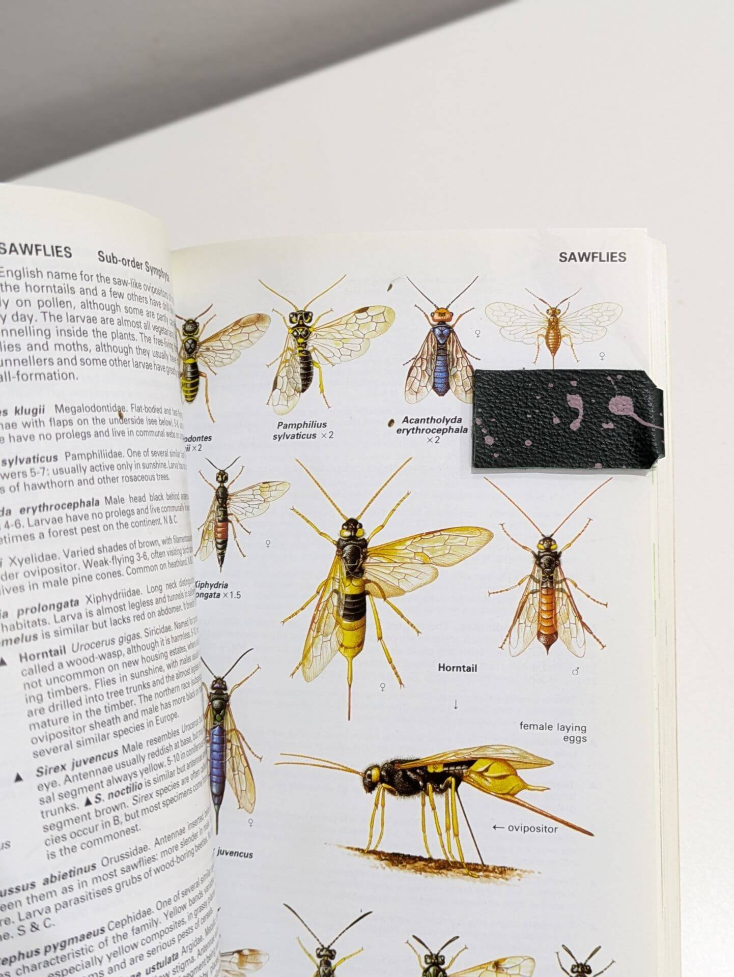 Magnetic Leather Bookmark - Three Colours homeware shops bristol gift shops bristol Bex & Bolt