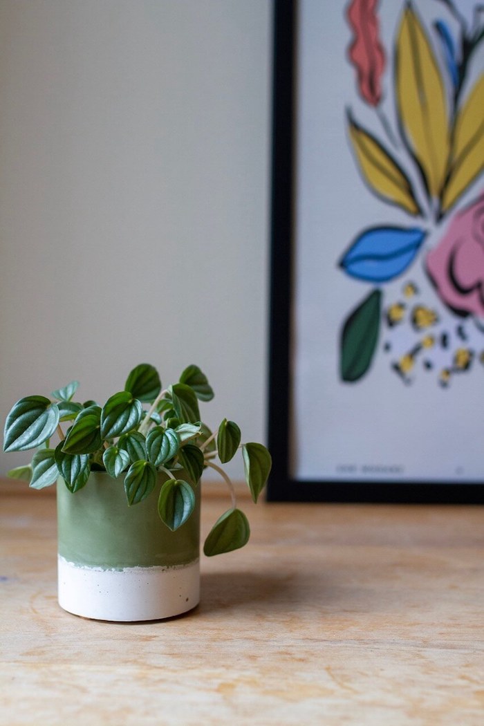 Plant Pots Olive Jesmonite Small Planter homeware shops bristol gift shops bristol Calico Collective