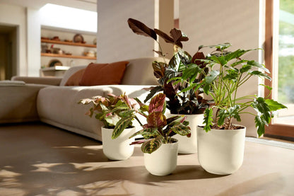 Plant Pot Silky White - Recycled Plastic Plant Pot 'Jazz Round' (multiple sizes) homeware shops bristol gift shops bristol Elho