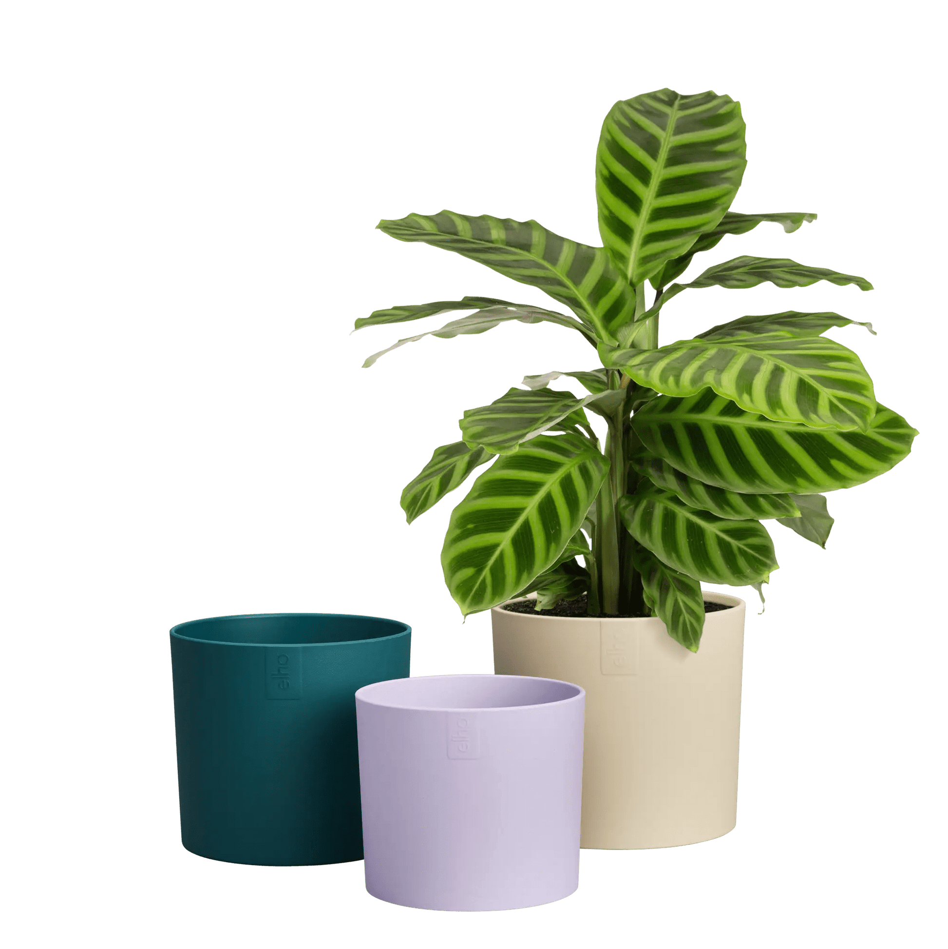 Recycled Plastic Plant Pot - Lex Pott Collection (set of 3) 'Velvet Cream' homeware shops bristol gift shops bristol Elho