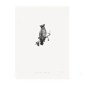 Bird Print Waxwing wood engraving (Framed or Unframed) homeware shops bristol gift shops bristol Fiona Hamilton
