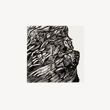 Chestnut Scars Trees Limited Edition Wood Engraving - Various Trees homeware shops bristol gift shops bristol Fiona Hamilton