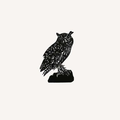 Prints Owl British Birds Wood Engraving - Various Birds homeware shops bristol gift shops bristol Fiona Hamilton