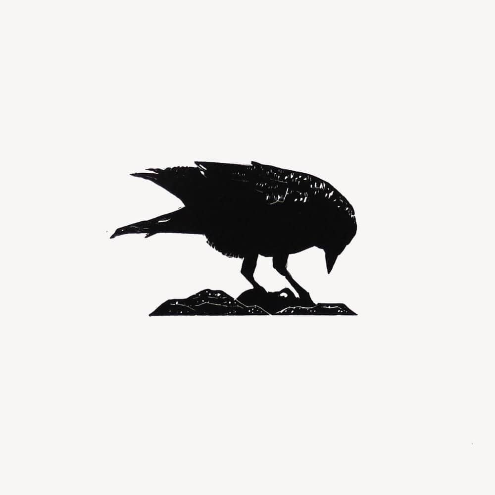 Prints Pecking Jackdaw British Birds Wood Engraving - Various Birds homeware shops bristol gift shops bristol Fiona Hamilton