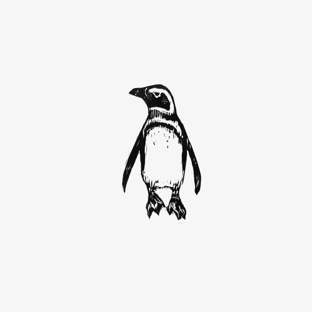 Prints Penguin Sea Birds Limited Edition Wood Engravings - Various Birds homeware shops bristol gift shops bristol Fiona Hamilton
