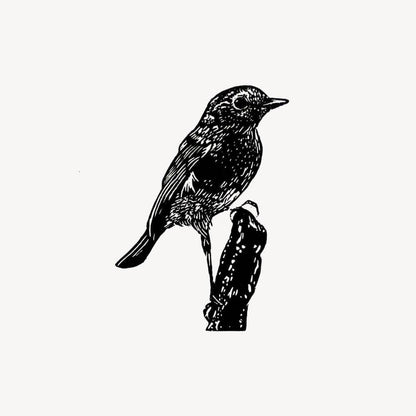 Prints Robin British Birds Wood Engraving - Various Birds homeware shops bristol gift shops bristol Fiona Hamilton