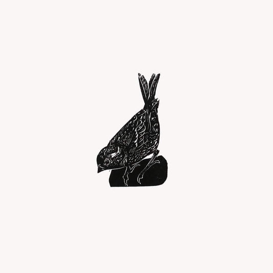 Prints Sparrow British Birds Wood Engraving - Various Birds homeware shops bristol gift shops bristol Fiona Hamilton