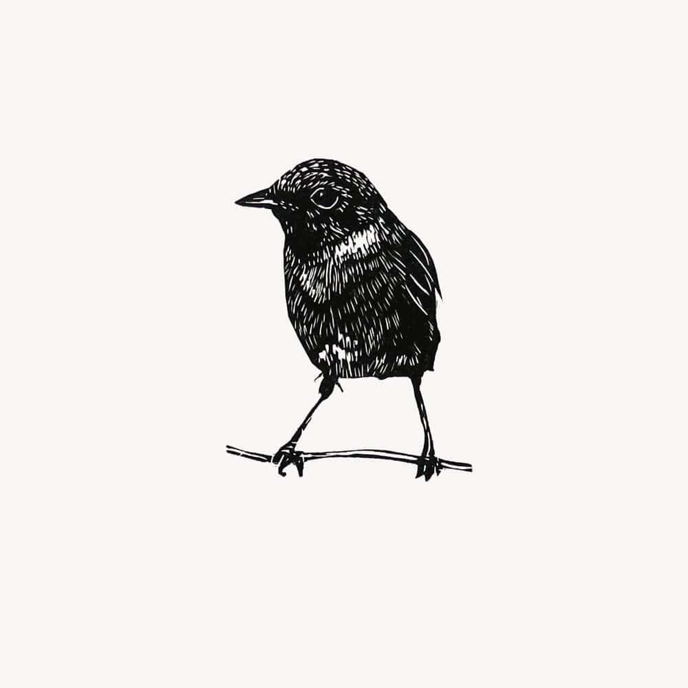 Prints Stonechat British Birds Wood Engraving - Various Birds homeware shops bristol gift shops bristol Fiona Hamilton