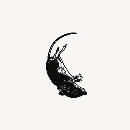 'The Shabbiest Possible Mouse' Wood Engraving homeware shops bristol gift shops bristol Fiona Hamilton