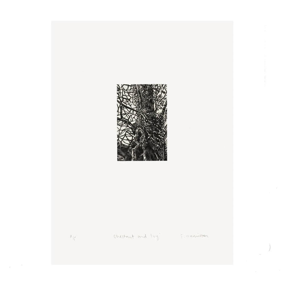 Tree Print Trees Limited Edition Wood Engraving - Various Trees homeware shops bristol gift shops bristol Fiona Hamilton