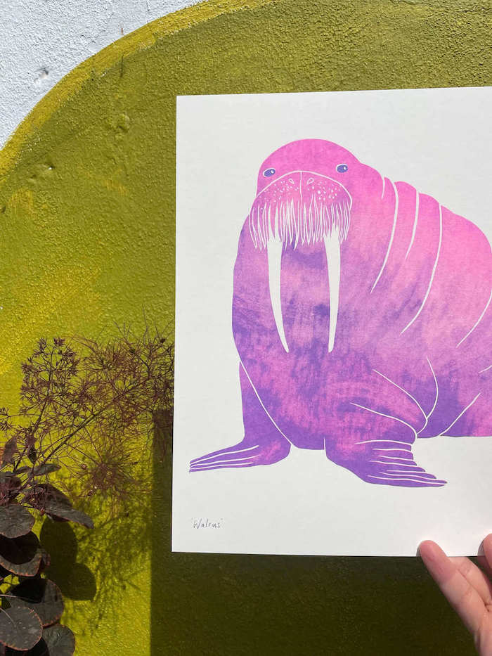 Walrus Print Walrus A3 risograph print homeware shops bristol gift shops bristol Harriet Popham