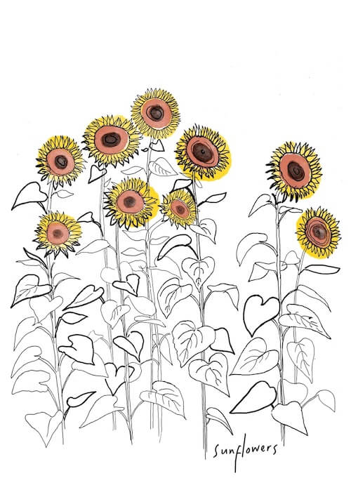 Greetings Card Card of Sunflowers Greetings Cards of flowers (various designs) homeware shops bristol gift shops bristol Laurel Molly