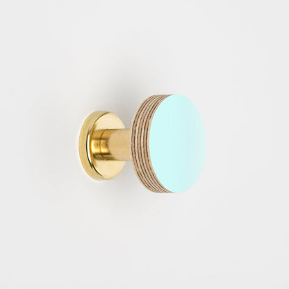 Cabinet Knob Birch & Brass Knob in Aqua Blue homeware shops bristol gift shops bristol Priormade