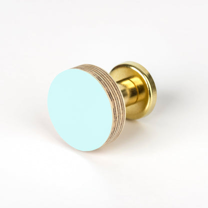 Cabinet Knob Birch & Brass Knob in Aqua Blue homeware shops bristol gift shops bristol Priormade