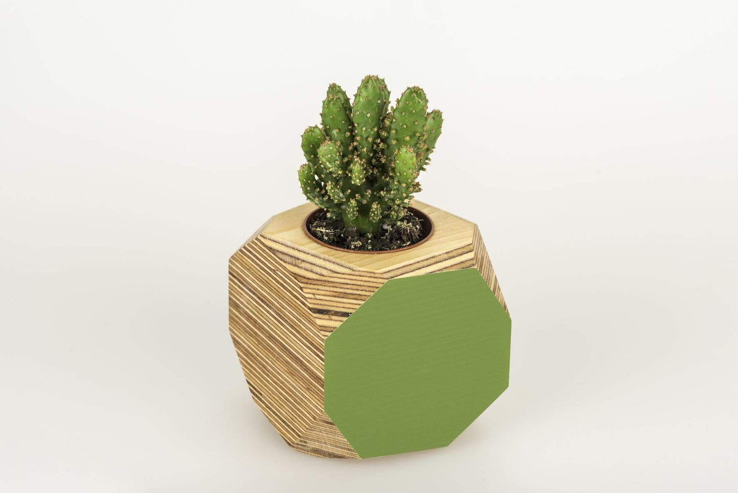 Geo Vessel Geo Vessel - Fern Green homeware shops bristol gift shops bristol Priormade