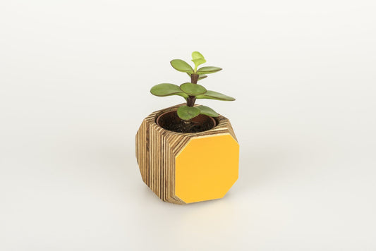 Mini Geo Vessel Mini Geo Vessels - Mustard Yellow homeware shops bristol gift shops bristol Priormade