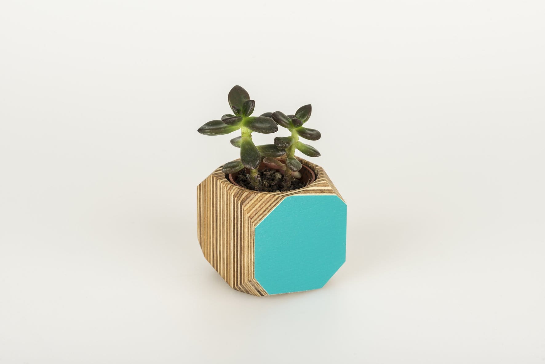 Mini Geo Vessel Mini Geo Vessels - Turquoise homeware shops bristol gift shops bristol Priormade