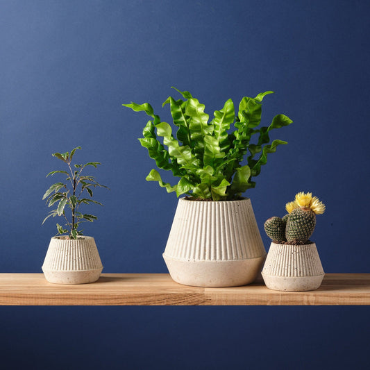 Plant Pots Plant Pot 'Cupcake' - Jesmonite and Coffee Grounds (two sizes) homeware shops bristol gift shops bristol Sarah Christensen Design