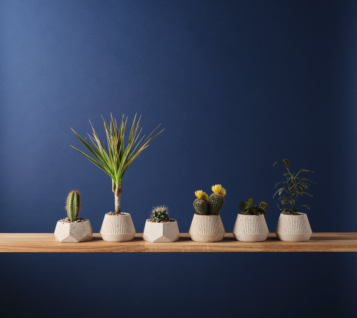 Plant Pots Small Plant Pot 'Cupcake' - Jesmonite and Coffee Grounds (two sizes) homeware shops bristol gift shops bristol Sarah Christensen Design