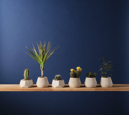 Plant Pots Small Plant Pot 'Cupcake' - Jesmonite and Coffee Grounds (two sizes) homeware shops bristol gift shops bristol Sarah Christensen Design