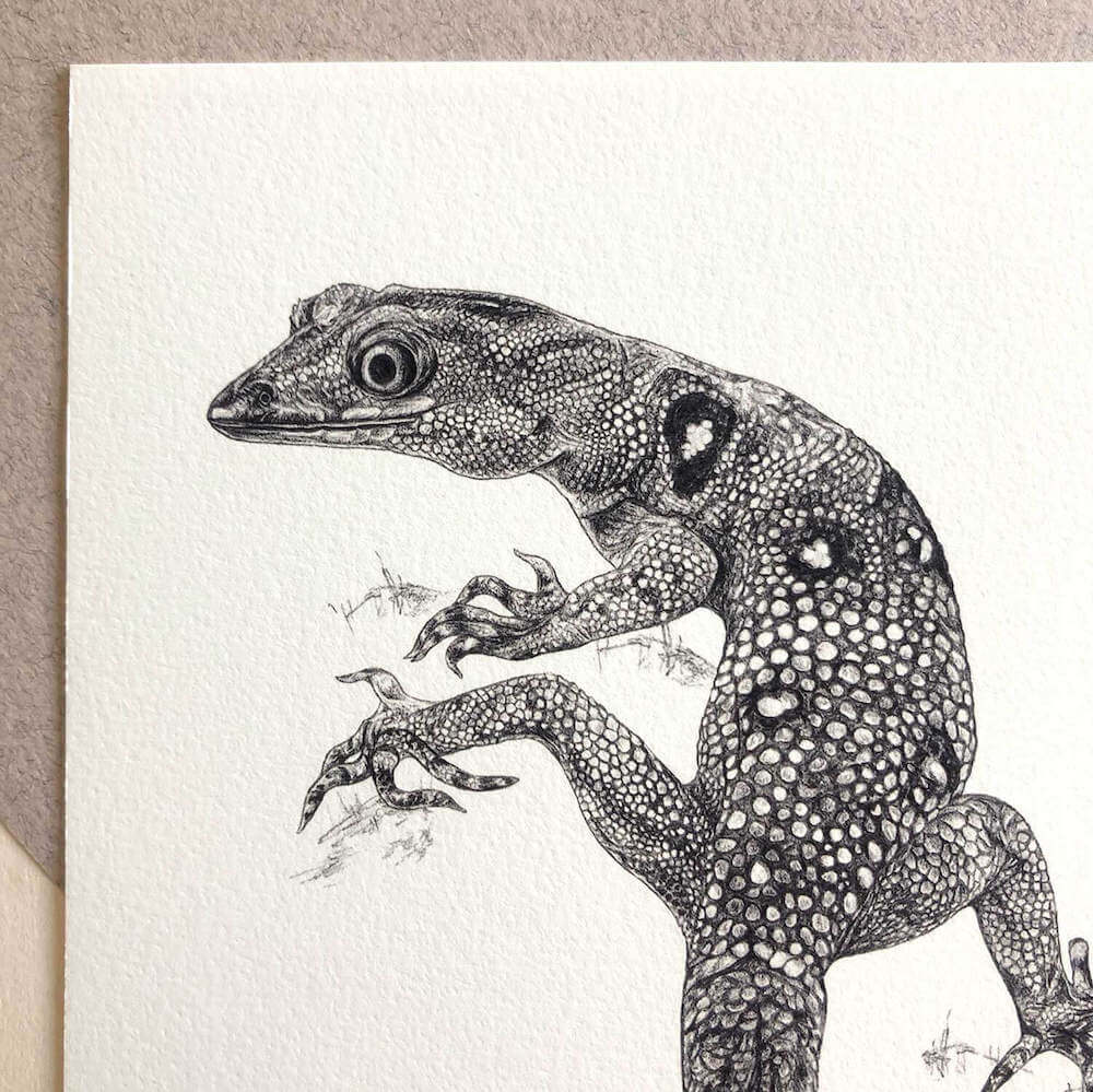 Prints Giclée Print 'Union Island Gecko' A5 homeware shops bristol gift shops bristol Sky Siouki