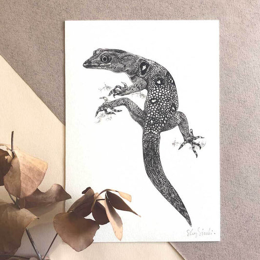 Prints Giclée Print 'Union Island Gecko' A5 homeware shops bristol gift shops bristol Sky Siouki