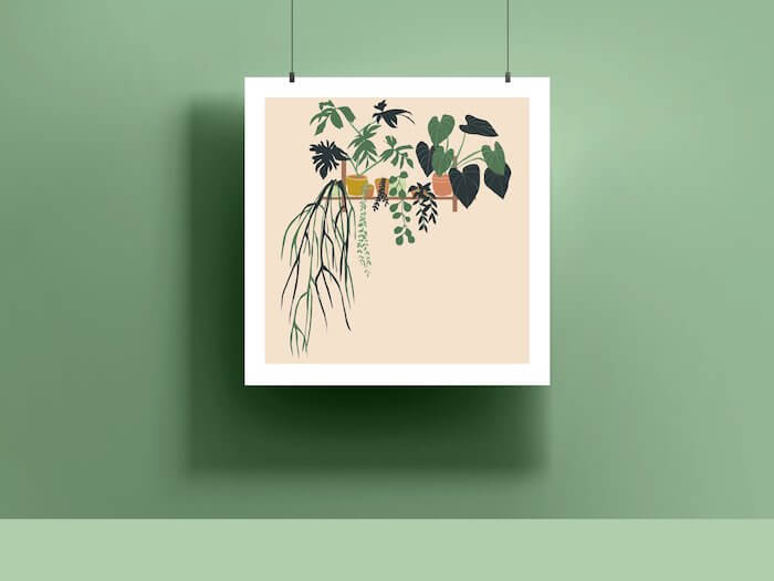 Prints 'Plant Shelf' Digital Print (Various Designs) homeware shops bristol gift shops bristol Sophie Colette