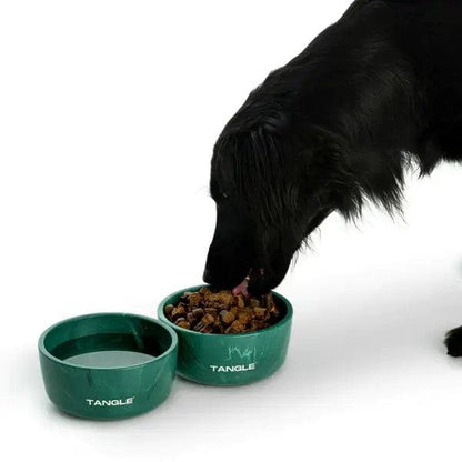 Dog Bowl Recycled Fishing Net Dog Bowl homeware shops bristol gift shops bristol Tangle