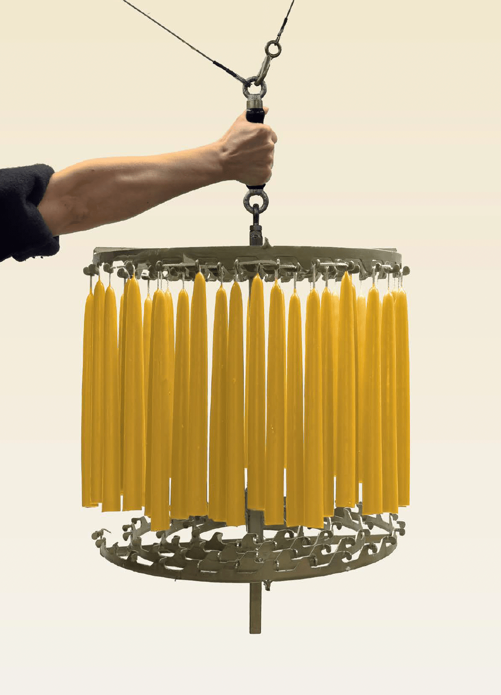 Candles Hand Dipped Beeswax Candles in 'Laurel' - 2 styles available homeware shops bristol gift shops bristol Wax Atelier