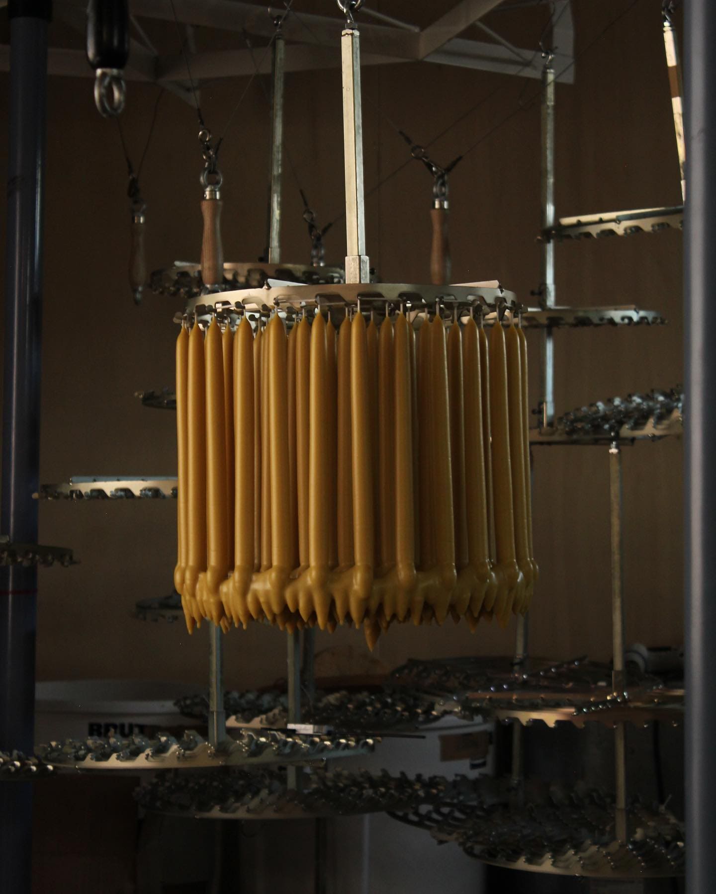 Candles Hand Dipped Beeswax Candles in 'Laurel' - 2 styles available homeware shops bristol gift shops bristol Wax Atelier