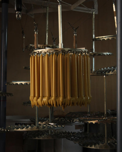 Candles Hand Dipped Beeswax Candles in 'Laurel' - 2 styles available homeware shops bristol gift shops bristol Wax Atelier
