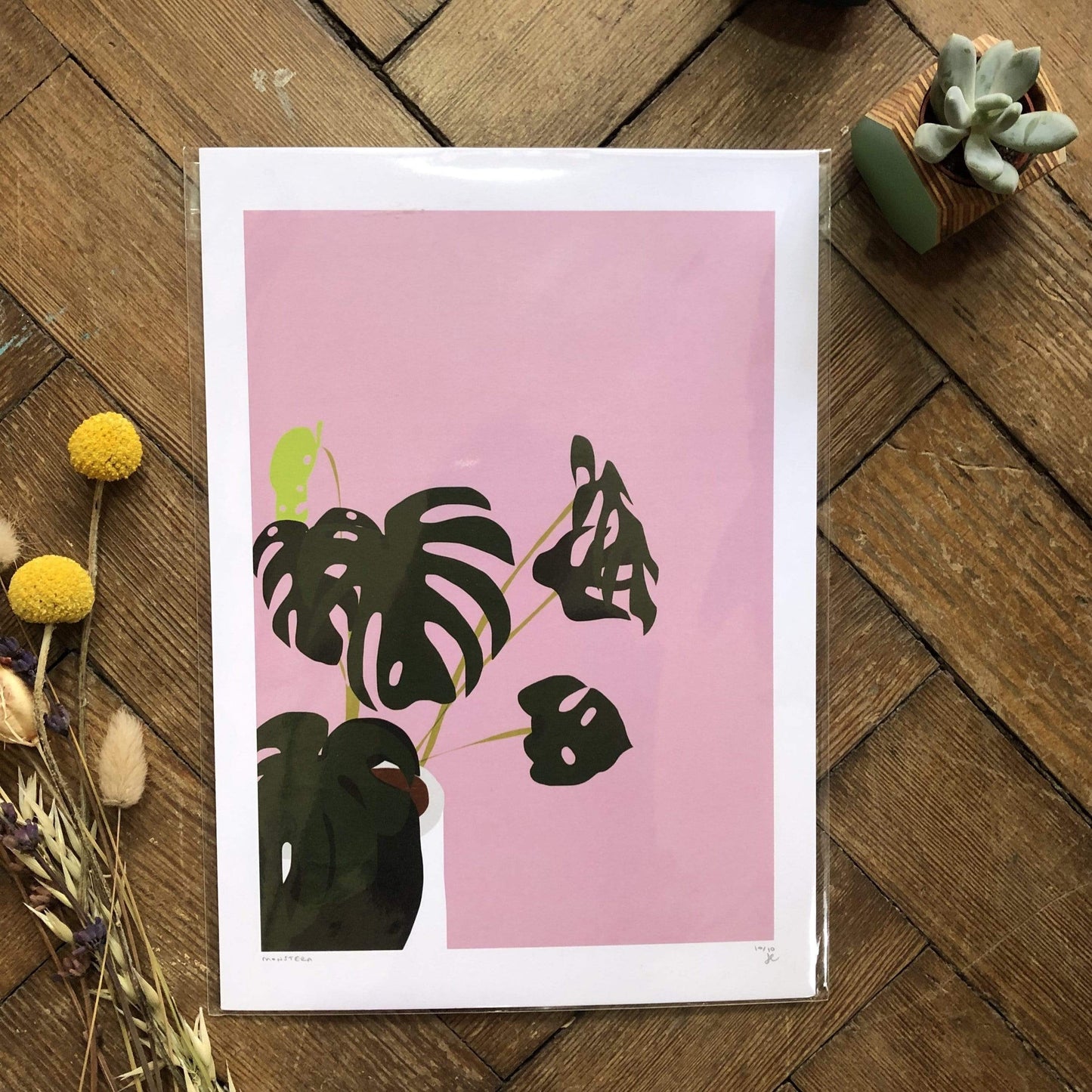 Prints A4  (21 x 29.7cm) Print Only (No Frame or Hanger) Pink Monstera Print (various sizes) homeware shops bristol gift shops bristol Do It Later Illustration