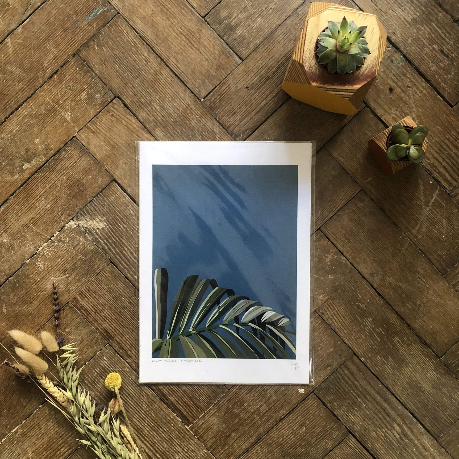 Prints A4  (21 x 29.7cm) Print Only (No Frame or Hanger) Tropical Plant Print (various sizes) homeware shops bristol gift shops bristol Do It Later Illustration