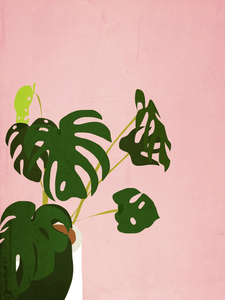 Prints Pink Monstera Print (various sizes) homeware shops bristol gift shops bristol Do It Later Illustration