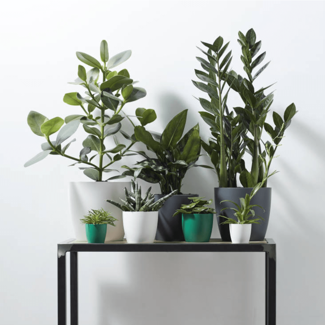 Plant Pots Recycled Plastic Plant Pot - 'brussels mini round' in White homeware shops bristol gift shops bristol Elho