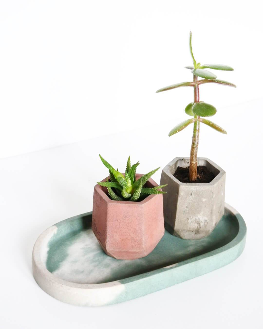 Tray Concrete Shapes Dish - Oval homeware shops bristol gift shops bristol Fern