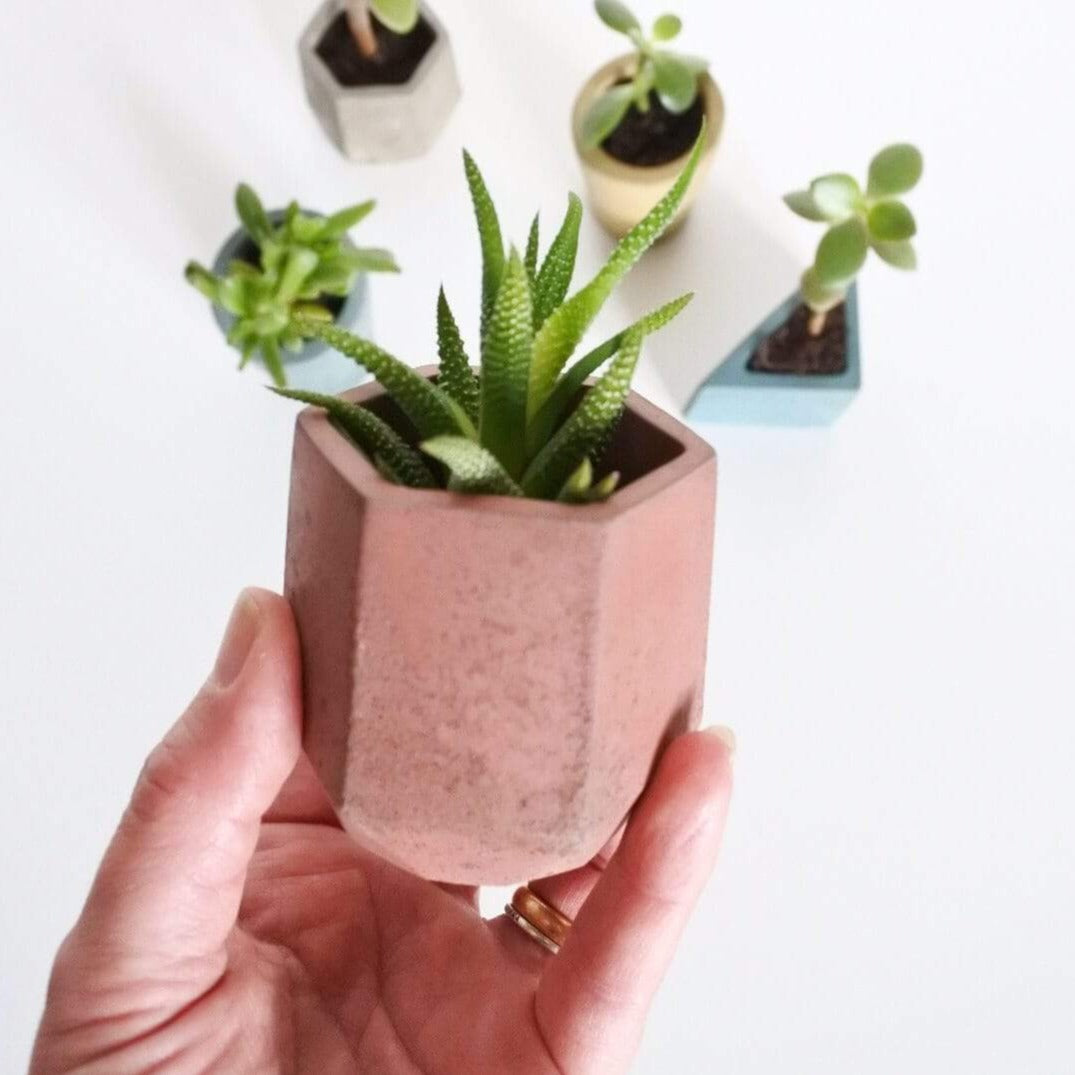Vessel Plum Concrete Mini Vessel - Hexagon (various colours) homeware shops bristol gift shops bristol Fern