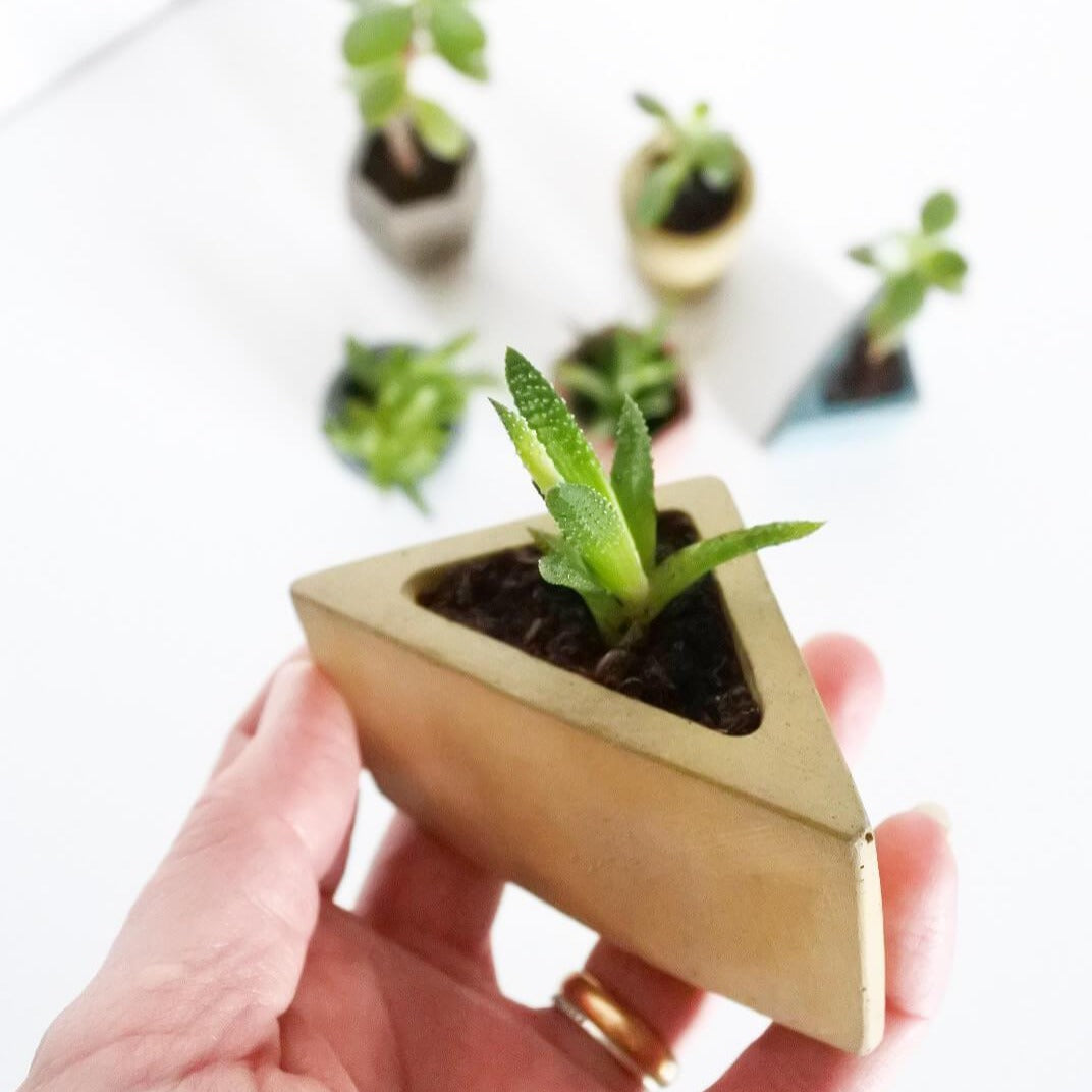Vessel Coastline Concrete Mini Vessel Triangle homeware shops bristol gift shops bristol Fern