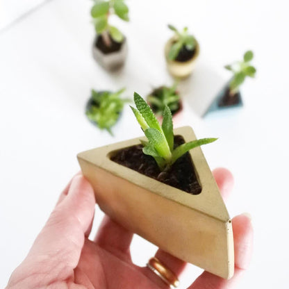 Vessel Coastline Concrete Mini Vessel Triangle homeware shops bristol gift shops bristol Fern