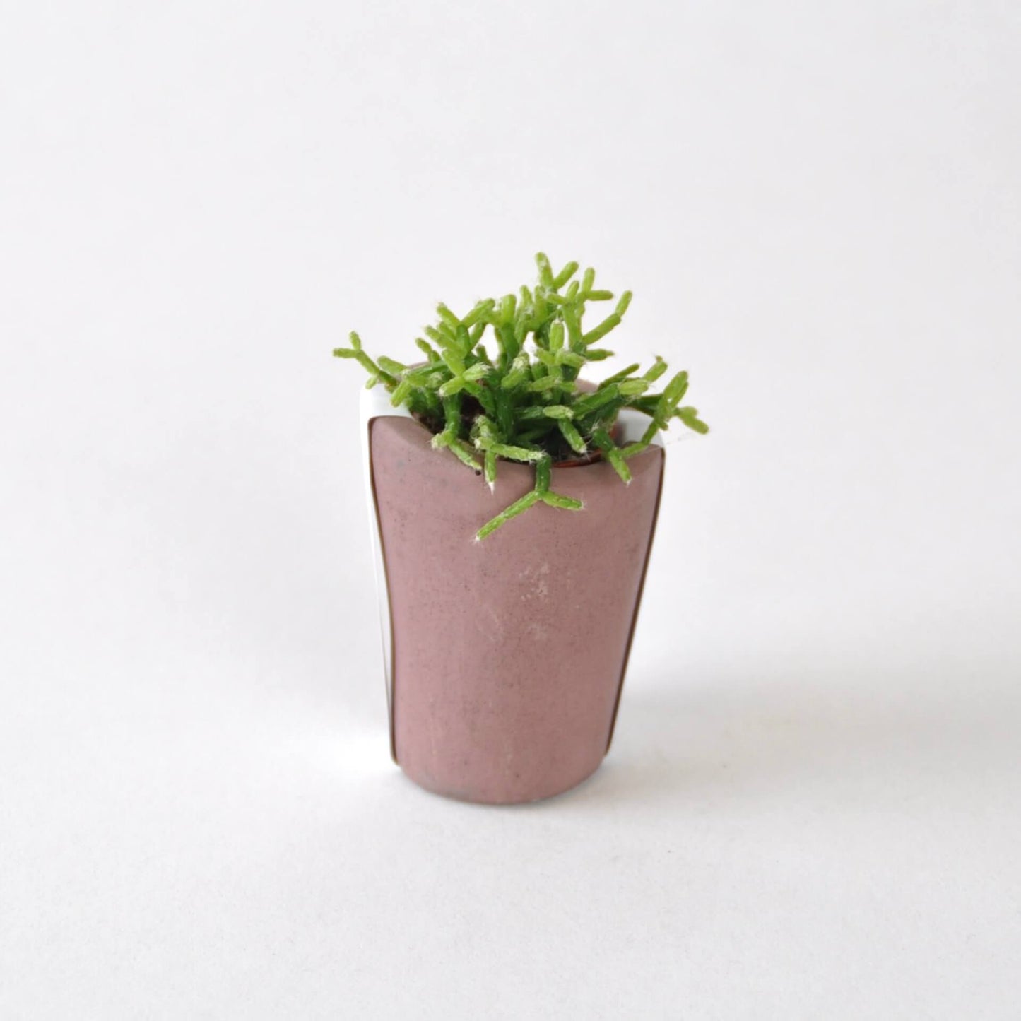 Vessel Plum Concrete Mini Vessel - Cylinder (various colours) homeware shops bristol gift shops bristol Fern
